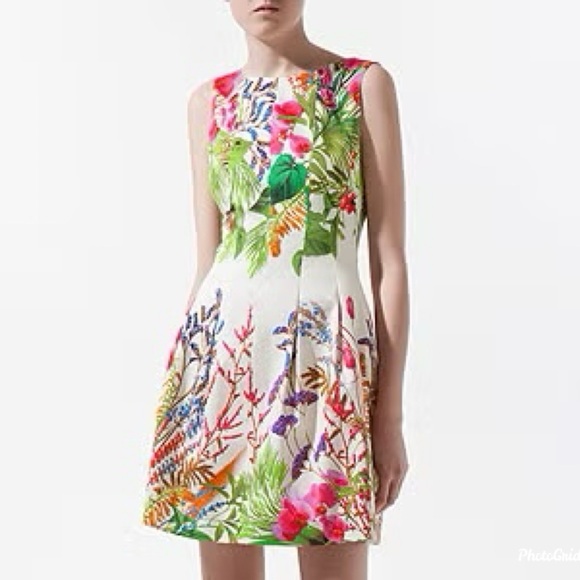 Zara White Cotton Tropical Floral Mini Panel Dress with Back Cutout - Picture 3 of 15